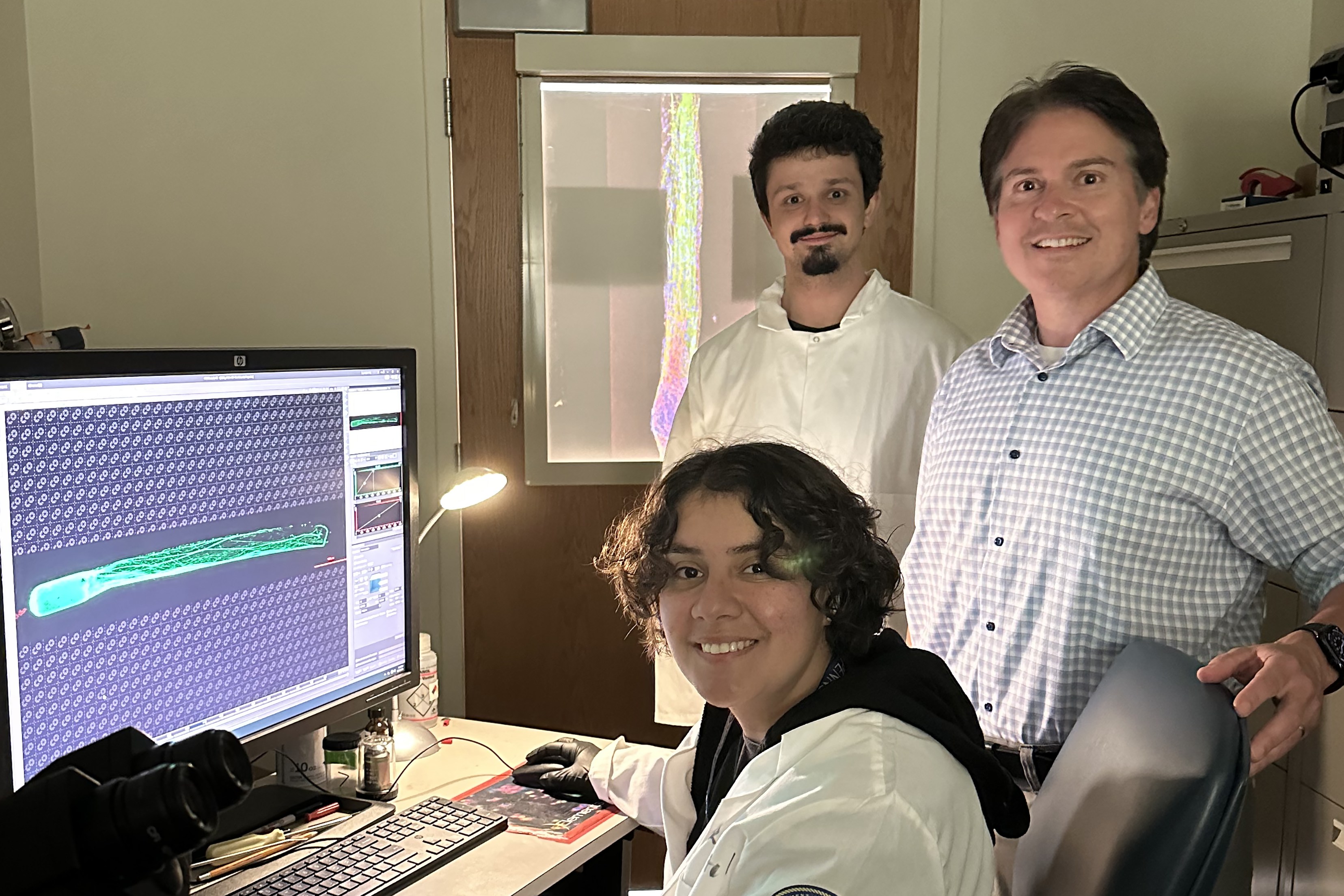 Three scientists, Viviana Alpizar, Adam Weissman, and D Kacy Cullen, in a lab with a computer screen displaying images of living brain implants.