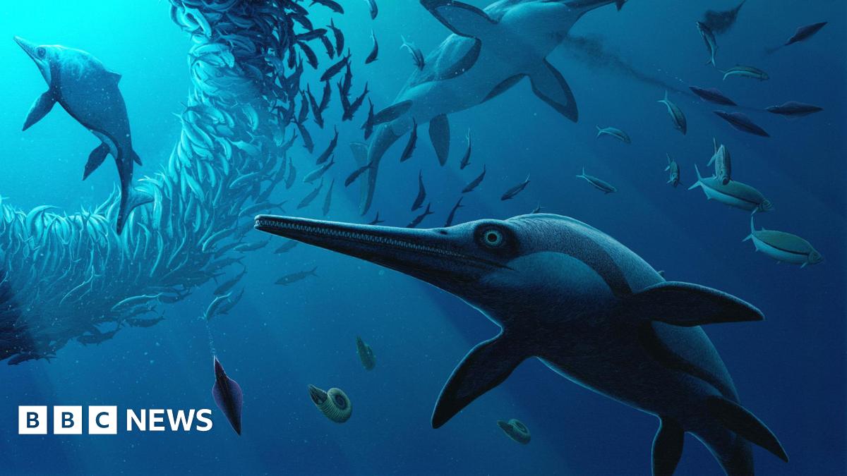 The Xiphodracon swimming underwater. It has a long spout and is surrounded by other Xiphodracons, and hundreds of fish.