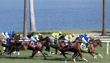 DRF's Horse Racing Playbook for Sunday, October 19, 2025