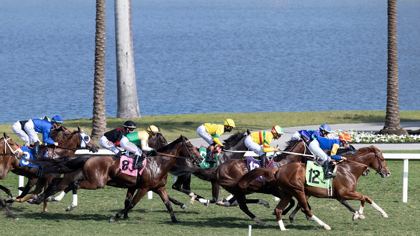 DRF's Horse Racing Playbook for Sunday, October 19, 2025