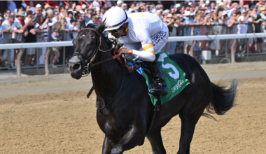 It's Our Time brings the hype into Champagne Stakes