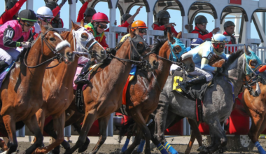 Horse Racing Playbook for Friday, October 10, 2025