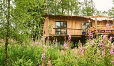 Inside Grand Designs' 'worthless' cabin in woods built for £150k
