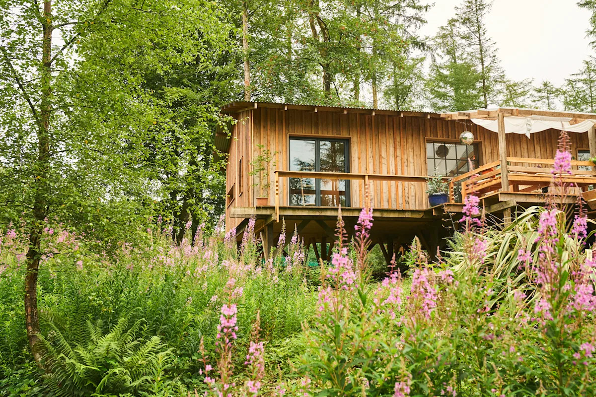 Inside Grand Designs' 'worthless' cabin in woods built for £150k