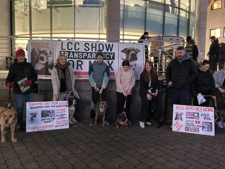 Max's supporters. Picture: LDR