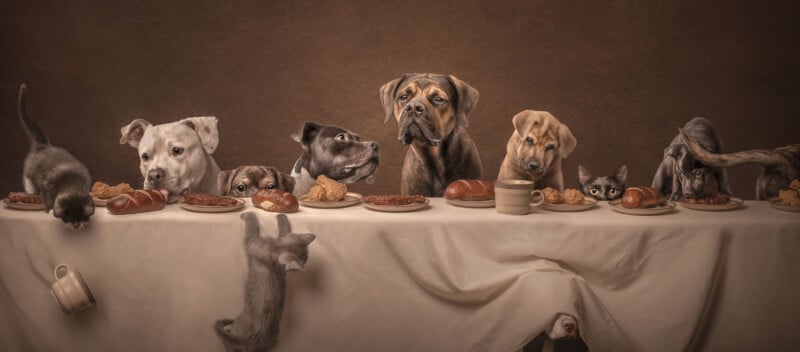 Five dogs and three cats sit or climb around a table set with bread, meat, and cups, imitating the Last Supper. A kitten hangs from the tablecloth while another reaches for food, creating a playful and humorous scene.