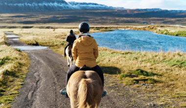 Two people riding horses by an alpine pond are shown from behind.