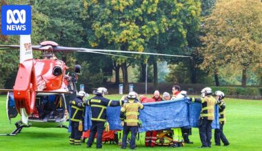 Recently-elected German mayor Iris Stalzer in critical condition after being stabbed outside home