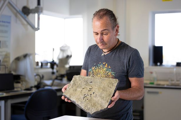 Dr Stig Walsh holding a cast of the Breugnathair elgolensis fossil