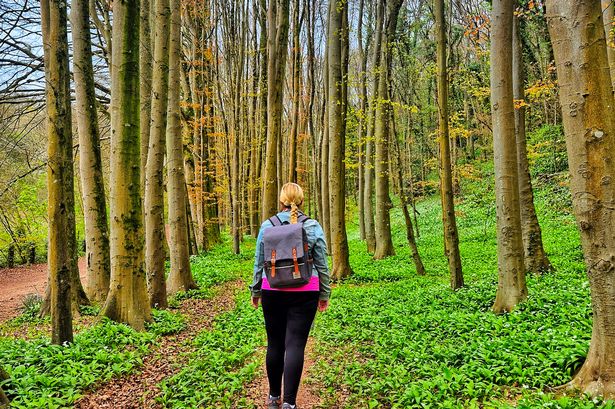 I've stomped around many forests in Wales searching for solitude and wildlife, and I'm always adding new woodlands to my 'must-walk list'.