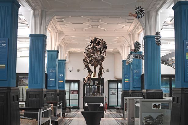 A new exhibition has opened at Manchester Museum just in time for October half term 