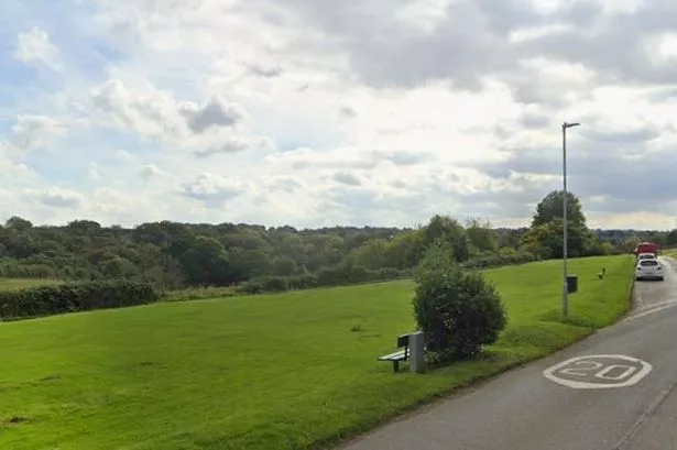 The image shows the vast moor