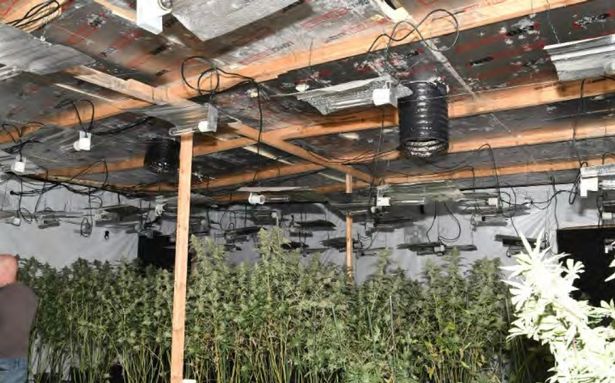 The cannabis farm was found on Redbank in Cheetham Hill