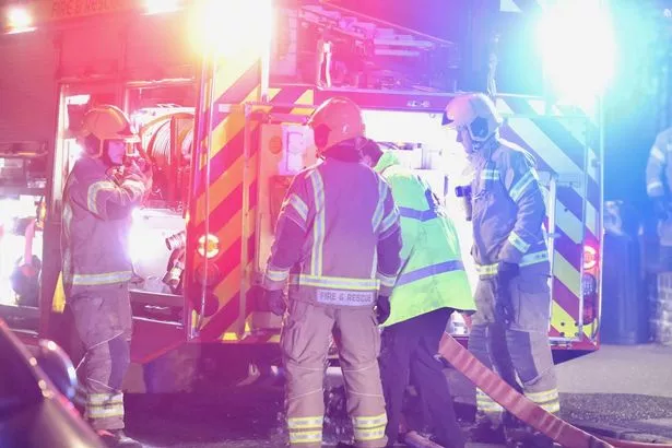 Fire in woodlands and allotments off Wick Road, Bristol.