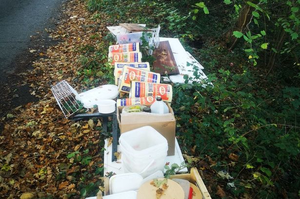 A large amount of rubbish was dumped next to a country lane in Hanham over the weekend