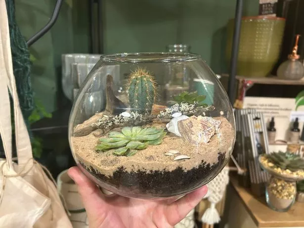 My finished terrarium creation from Plantology
