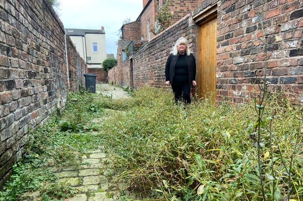 Alison Buckley has been trying to get her alleyway cleared. 