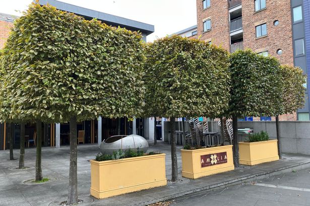 Amalia is 'closed until further notice' following a fire