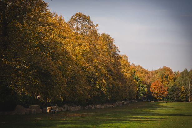 The playing fields are also lined with beautiful trees