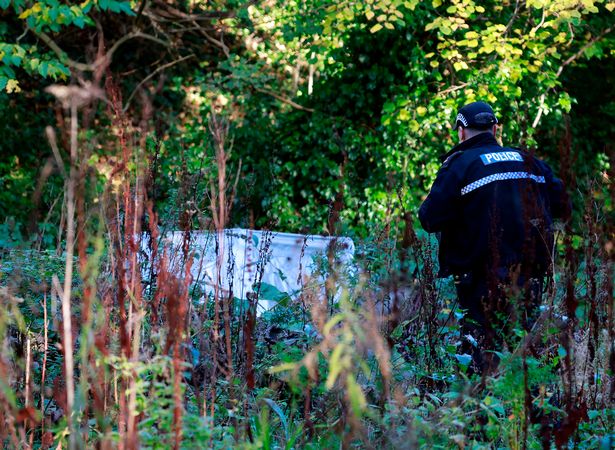 A white sheet can be seen in a wooded area in Edinburgh
