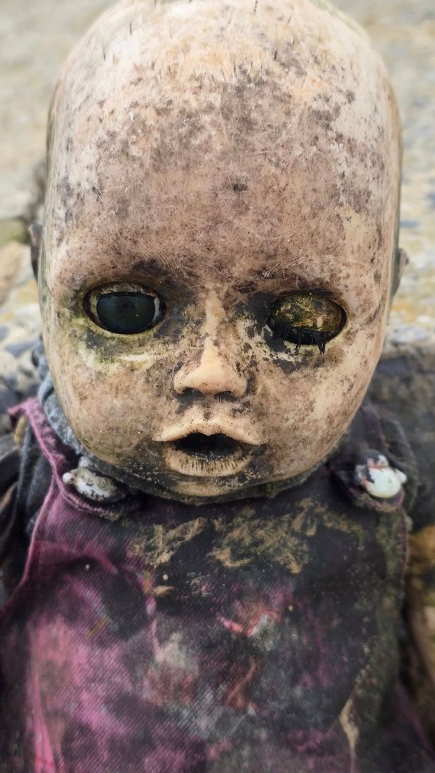 It's eyes are terrifying