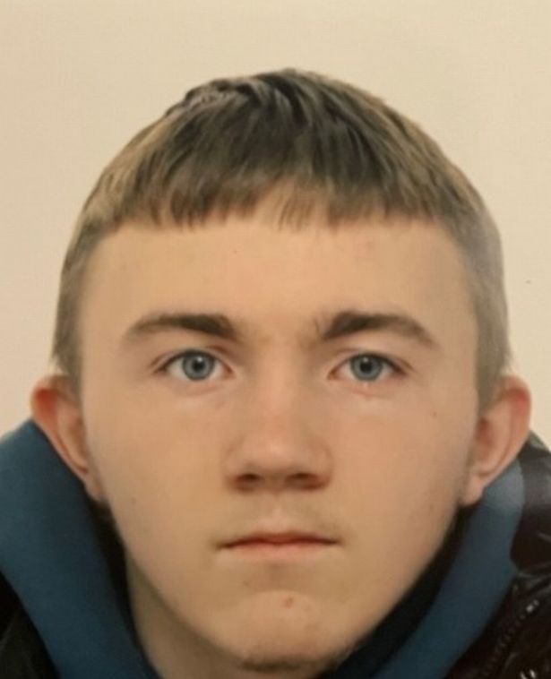 Teenage boy with brown hair 