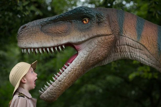 The Tatton Park event, expected to run from October 18 to November 2, is not happening 