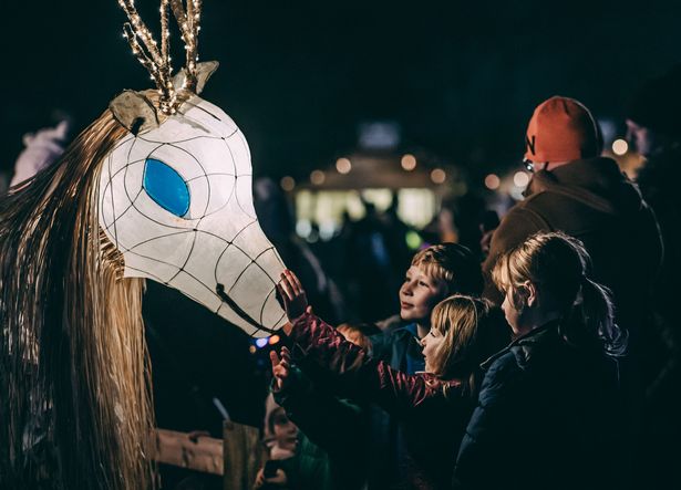 Lanterns and Light at Chester Zoo