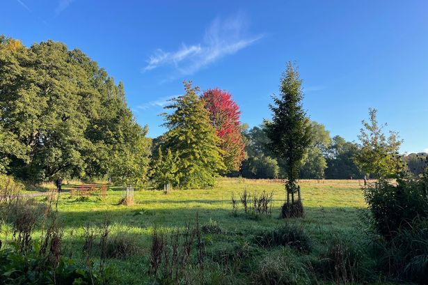 Early autumn in Fog Lane Park, Didsbury
