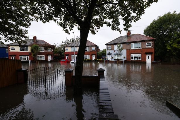 Flooding on Bulwer Street in Seaforth, September 2024