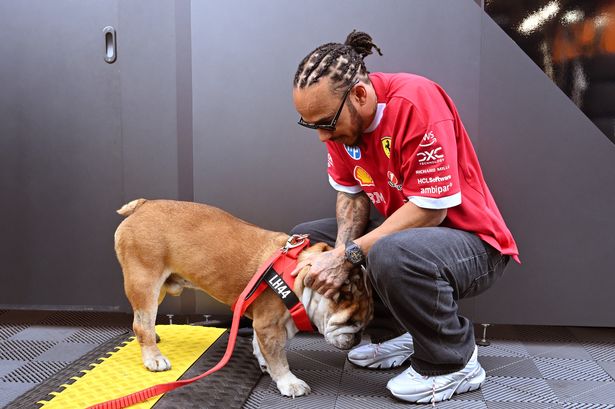 Lewis Hamilton
