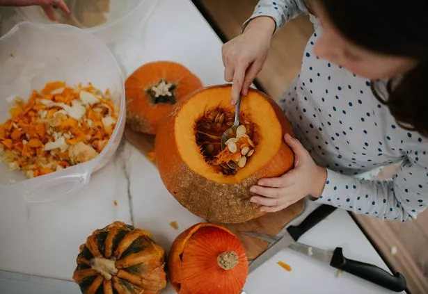 A little girl scoops the seeds and insides out of a pumpkin and places the waste in a large bowl.