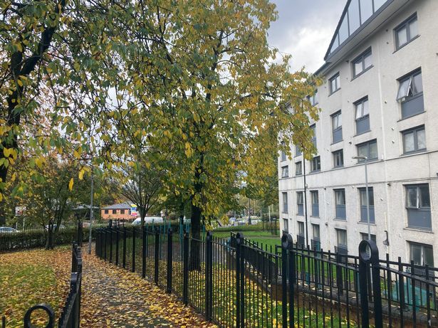 The sun is shining on the Freehold estate in Rochdale