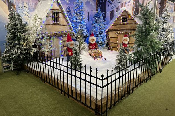 Whitehall Garden Centre in Whitchurch - the 2024 Christmas shop display