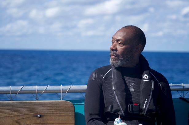 Shark! Celebrity Infested Waters