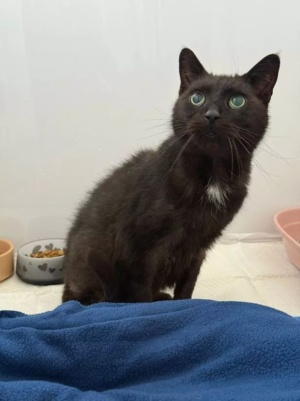 Marley was abandoned