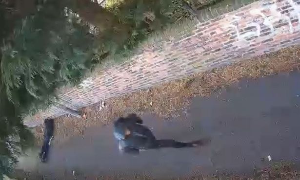 The victim was left seriously injured in an alley by the pair