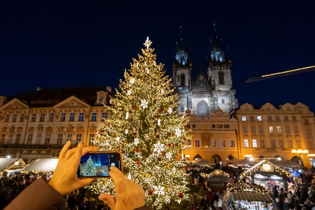 View of a person recording an illuminated Christmas tree on her mobile phone at the traditional Christmas market in the Old town Square in Prague