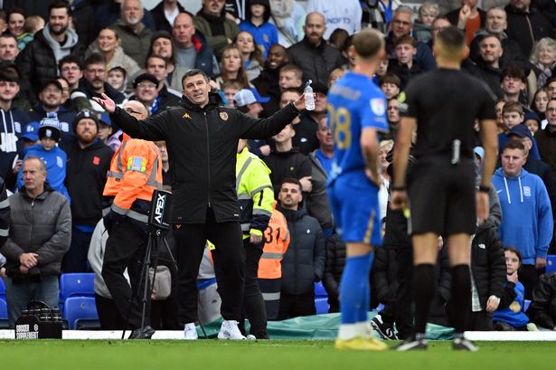 Sergej Jakirovic, manager of Hull City 