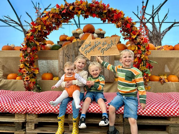 The pumpkin festival is in full swing