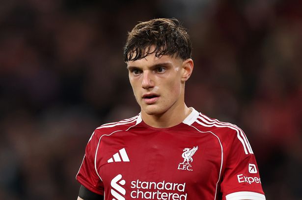 Liverpool defender Giovanni Leoni 