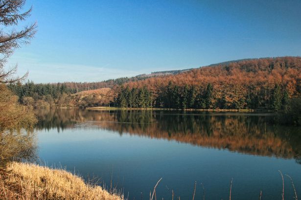 Stunning autumn colours in Macclesfield Forest 