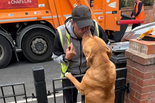 Peter from Sefton Council's cleansing team, his friend Kobe the dog and his new friend Daisy the dog