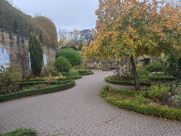 Poison Gardens at Alnwick in Northumberland
