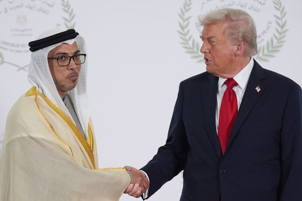 Donald Trump and Sheikh Mansour 