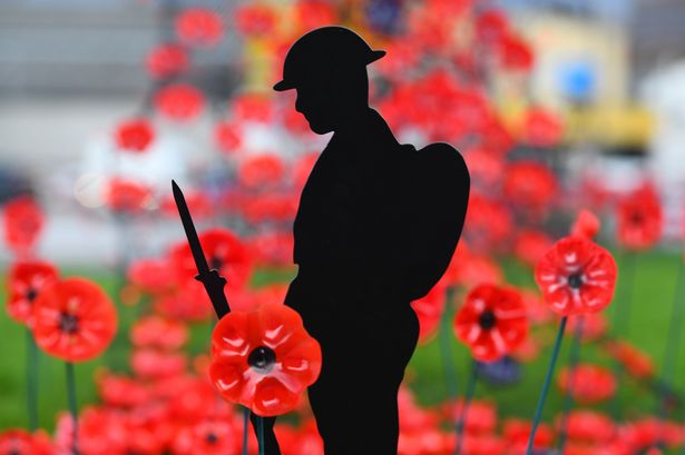 A Wirral Remembrance poppy display in 2021