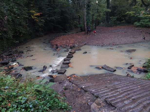 The pollution his discoloured a lot of the precious river