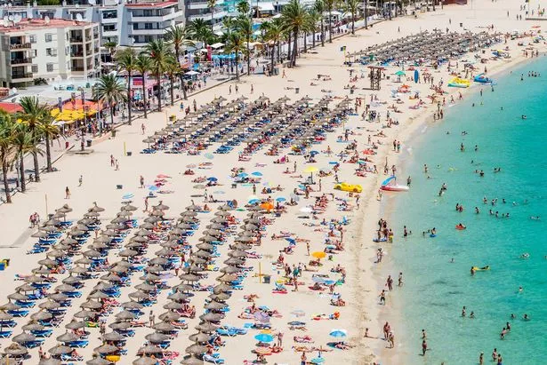 MALLORCA, SPAIN - JULY 13:  Tourist sunbathe at Magaluf beach on July 13, 2014 in Mallorca, Spain. Magaluf is one of the Britain's favorite holiday destinations popular with sun, beach and clubbers alike.  (Photo by David Ramos/Getty Images)