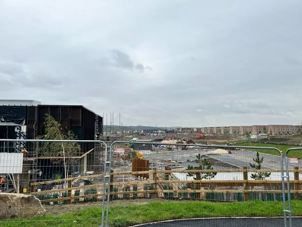 Building work in Waverley has been described as "never-ending"