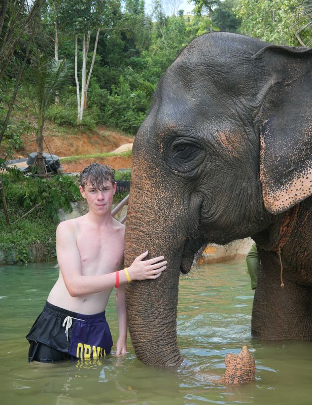  Levi Syer posing with an elephant on holiday.